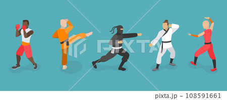 3D Isometric Flat Vector Set of Martial Art Characters 108591661