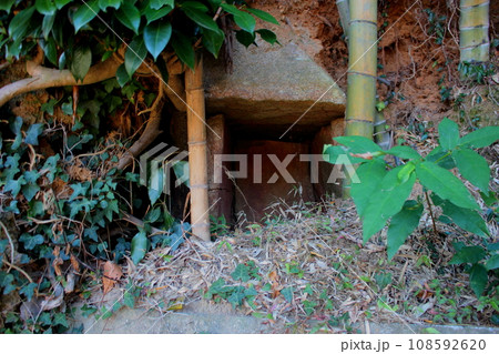 北九州市小倉 竹林の中の「上長野石棺群」 北九州市小倉 竹林の中の「上長野石棺群」 108592620