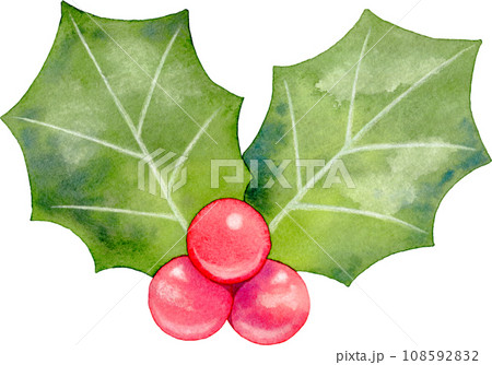 【クリスマス】葉っぱが2枚の西洋柊(ヒイラギ)の水彩イラスト 108592832