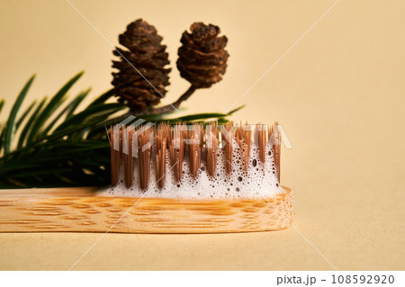 Toothbrush with toothpaste foam on a background of pine needles and cones. Toothbrush with toothpaste foam on a background of pine needles and cones. 108592920