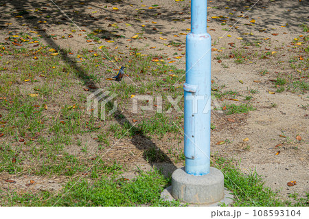 公園の青いポールとさえずる小鳥 公園の青いポールとさえずる小鳥 108593104