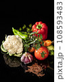 Vegetables On A Glass 108593483