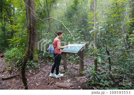 Female tourist reading a information board sign with short info about type of tree on trail. Female tourist reading a information board sign with short info about type of tree on trail. 108593553
