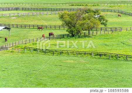 サラブレッド銀座駐車公園 サラブレッド銀座が一望 サラブレッド銀座駐車公園 サラブレッド銀座が一望 108593586