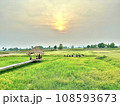 sky 108593673