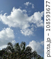 sky 108593677
