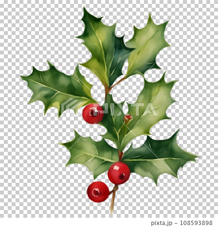 Santa Claus 108593898