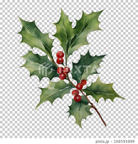 Santa Claus 108593899