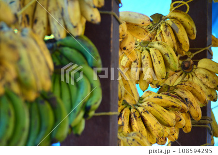幸せの国ブータン ローカルマーケットに並ぶバナナ（Khuruthang, Punakha） 108594295