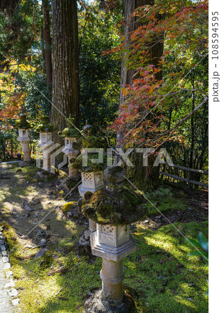 京都　槇尾山　西明寺 108594595