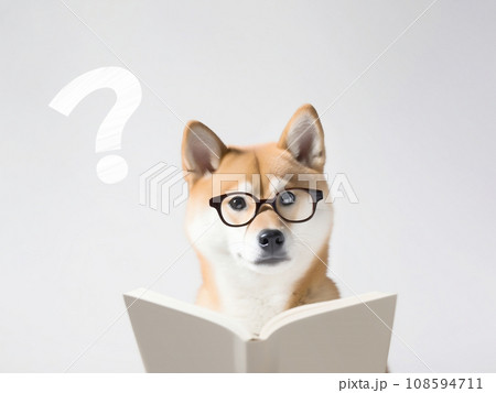 犬と勉強。眼鏡をかけた柴犬が考え事をする。生成AI 108594711
