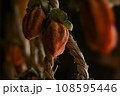 干し柿 108595446