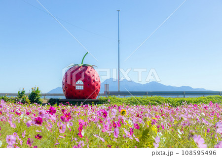 フルーツバス停 イチゴのバス停【長崎県諫早市小長井町】 108595496