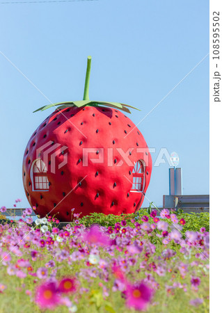 フルーツバス停 イチゴのバス停【長崎県諫早市小長井町】 フルーツバス停 イチゴのバス停【長崎県諫早市小長井町】 108595502