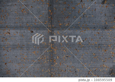 fallen leaves on the asphalt. autumn. 108595509