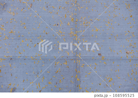fallen leaves on the asphalt. autumn. fallen leaves on the asphalt. autumn. 108595525