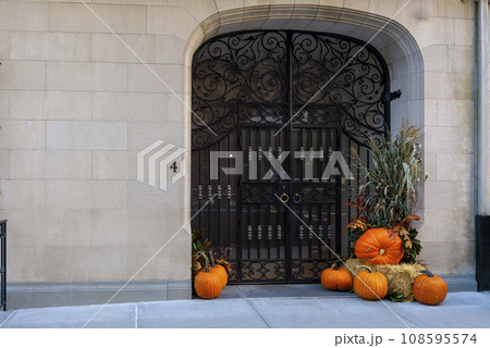 beautiful front door of a house with an aristocratic family in the center of Manhattan 108595574