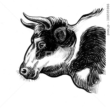 Bull's head. Hand-drawn retro styled ink black...のイラスト素材 [108595966 ...