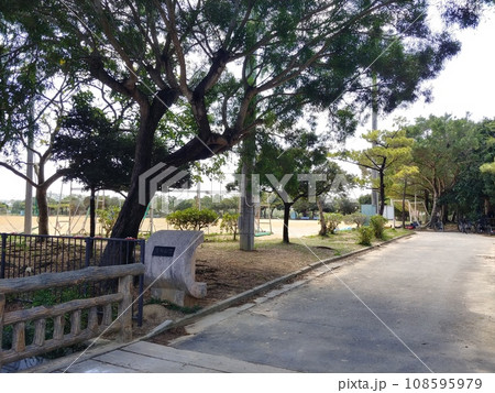 沖縄 那覇市漫湖公園3 沖縄 那覇市漫湖公園3 108595979
