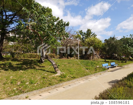 沖縄　那覇市漫湖公園6 108596181