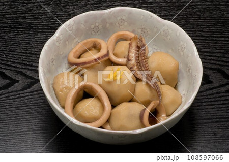 イカと里芋の煮物.j イカと里芋の煮物.j 108597066