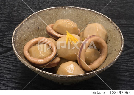 イカと里芋の煮物.j イカと里芋の煮物.j 108597068