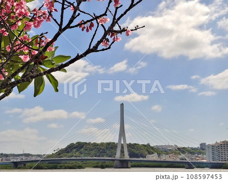沖縄 那覇市漫湖公園10 とよみ大橋 沖縄 那覇市漫湖公園10 とよみ大橋 108597453