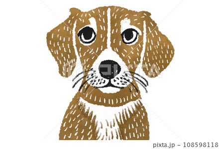 お座りしているビーグル犬 お座りしているビーグル犬 108598118