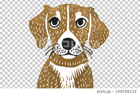 お座りしているビーグル犬 お座りしているビーグル犬 108598118