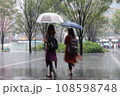 大雨の中を傘をさして歩く女性の後ろ姿 108598748