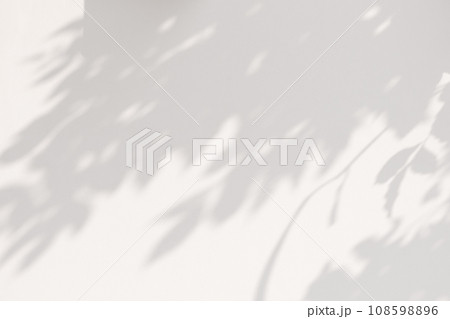 Abstract natural tree leaves on white wall background 108598896