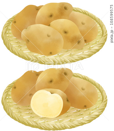 ザルにのったジャガイモのイラストセット ザルにのったジャガイモのイラストセット 108599575