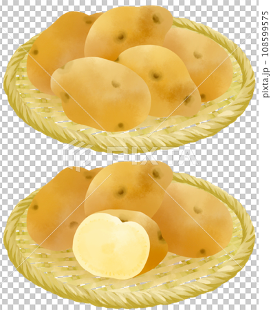 ザルにのったジャガイモのイラストセット ザルにのったジャガイモのイラストセット 108599575