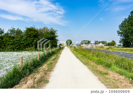 【ヨーロッパ】フランスの田舎の小道 【ヨーロッパ】フランスの田舎の小道 108600609