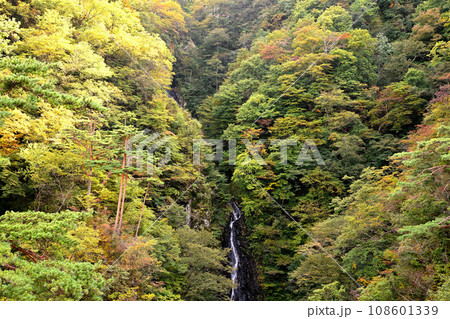 不動の滝　不動大橋からの眺め　紅葉の季節　　　 108601339