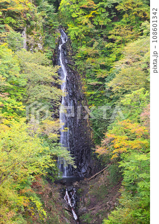 不動の滝　不動大橋からの眺め　紅葉の季節　　　 108601342