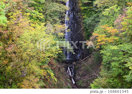 不動の滝　不動大橋からの眺め　紅葉の季節　　　 108601345