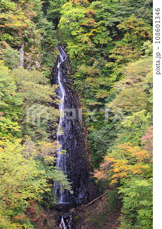 不動の滝　不動大橋からの眺め　紅葉の季節　　　 108601346