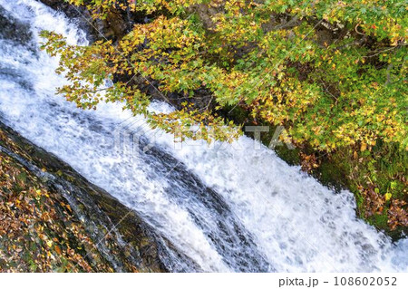 紅葉の風景　秋の関山大滝　山形県東根市 108602052