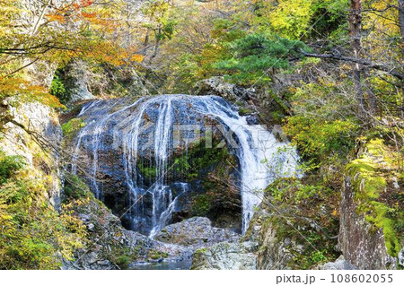 紅葉の風景　秋の関山大滝　山形県東根市 108602055