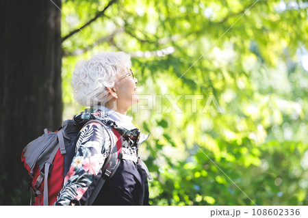 シニア登山 108602336
