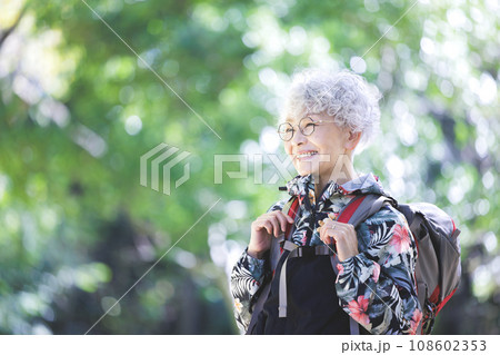 シニア登山 108602353