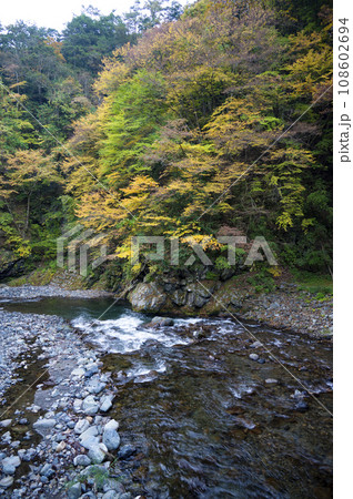 初秋の丹波川 108602694