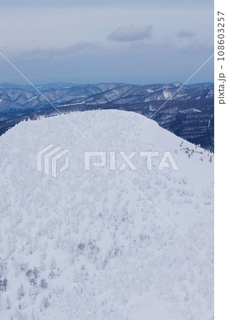冬の八甲田 108603257