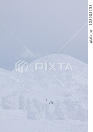冬の八甲田 108603258