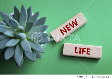 New life symbol. Wooden blocks with words New life. Beautiful green background with succulent plant. Business and New life concept. Copy space. 108605633