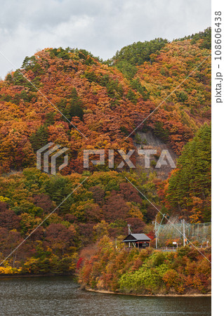 紅葉に包まれて 108606438