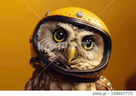 Portrait of a funny owl in a yellow motorcycle helmet. Small owl with big wide-open eyes looks into the camera, a close shot on an isolated background. Round big eyes. 108607775