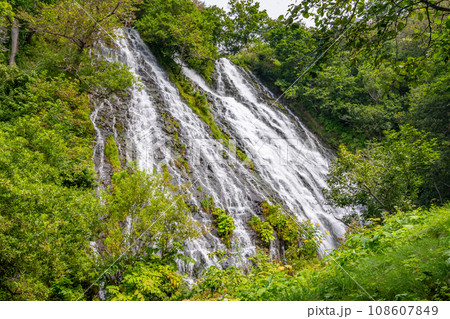 オシンコシンの滝　知床最大の滝 108607849