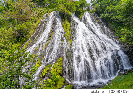 オシンコシンの滝 知床最大の滝 オシンコシンの滝 知床最大の滝 108607850